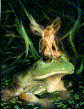 A picture of a fairy sitting on a bullfrog